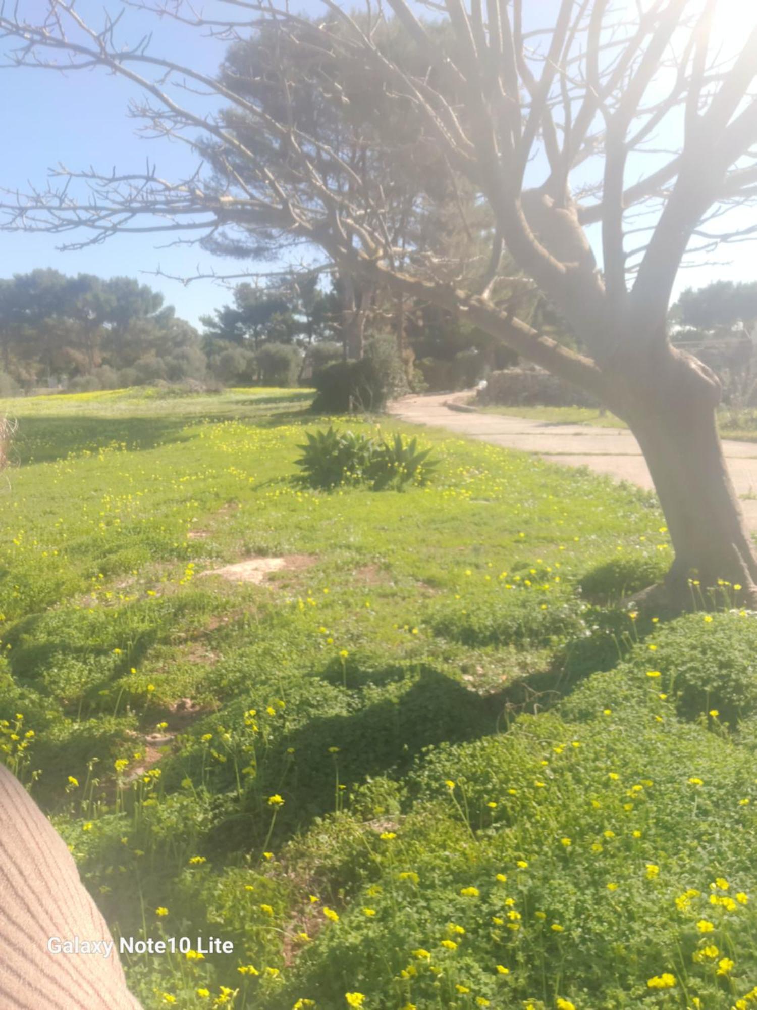 Sogni Nel Blu Favignana Villa ภายนอก รูปภาพ