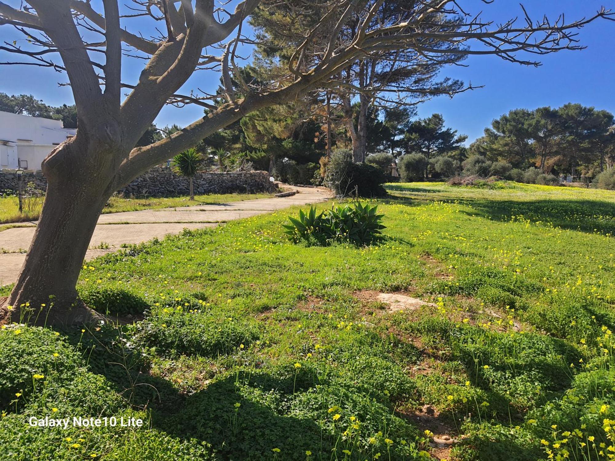 Sogni Nel Blu Favignana Villa ภายนอก รูปภาพ