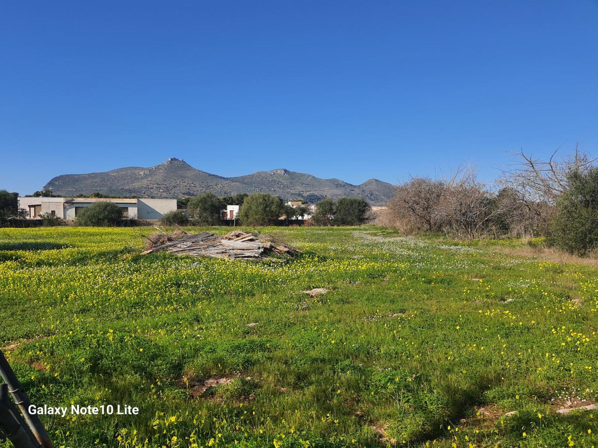 Sogni Nel Blu Favignana Villa ภายนอก รูปภาพ