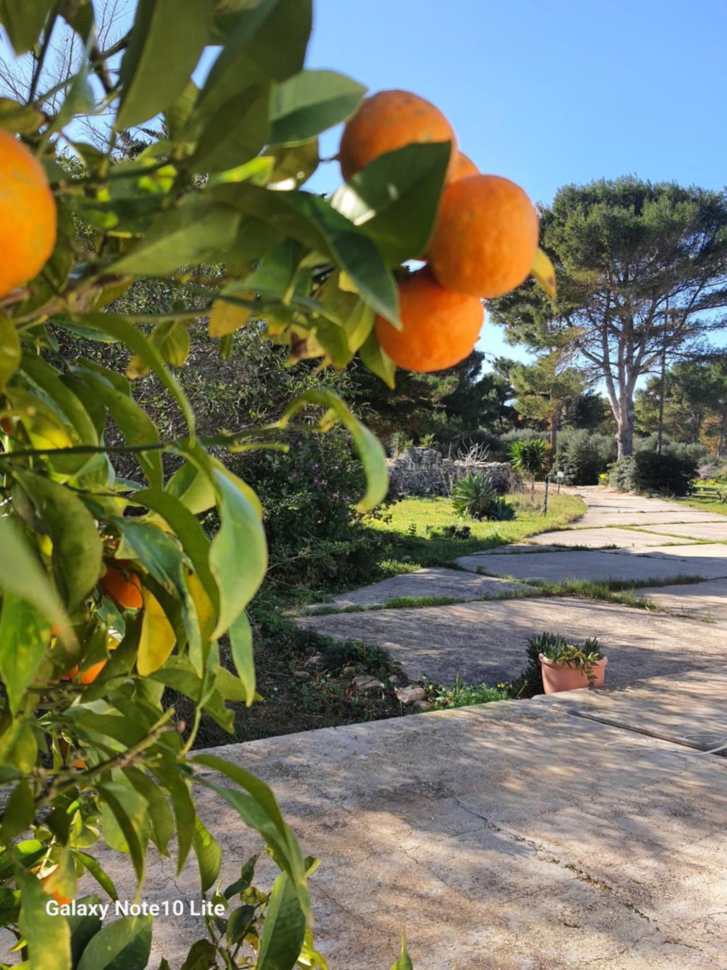 Sogni Nel Blu Favignana Villa ภายนอก รูปภาพ