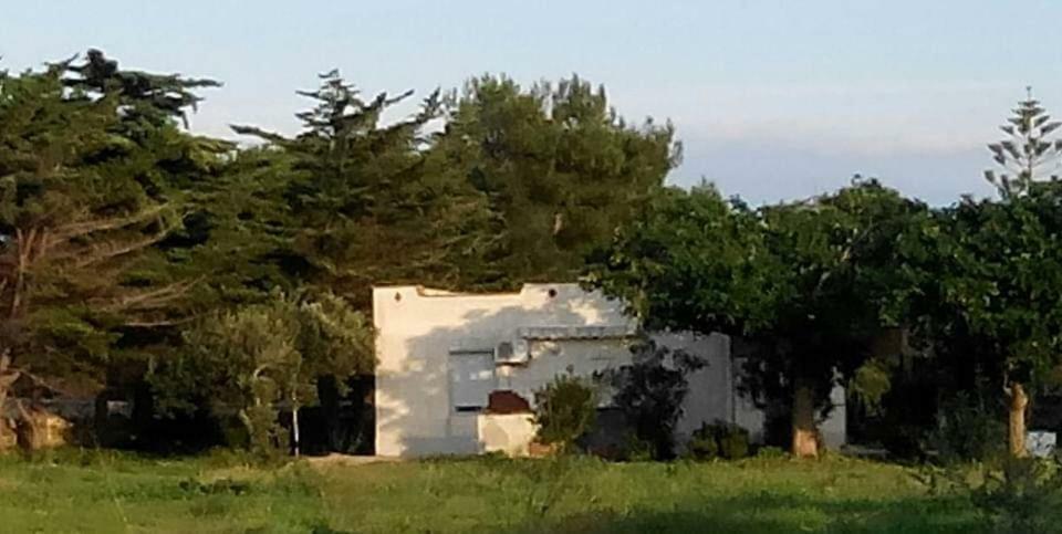 Sogni Nel Blu Favignana Villa ภายนอก รูปภาพ